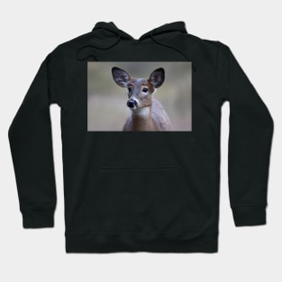 So forlorn - White-tailed Deer Hoodie